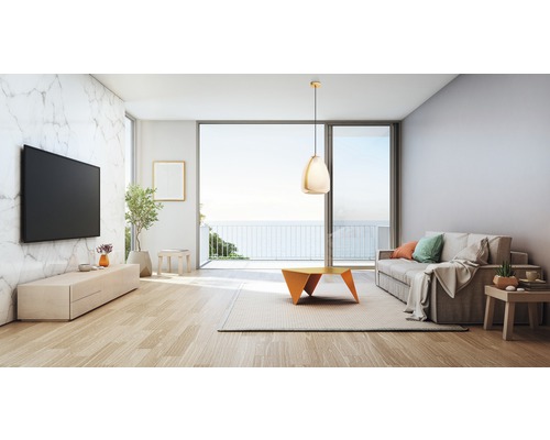 Living cu canapea, televizor și măsuță de cafea