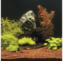 Substrat decorativ pentru acvariu JBL Manado, 3 l-thumb-3