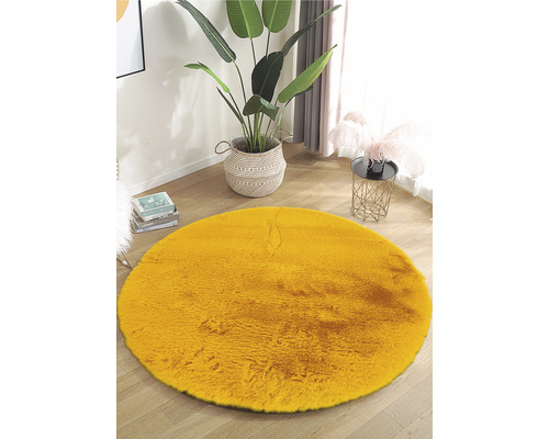 Covor rotund într-o cameră cu plantă de apartament și măsuță laterală