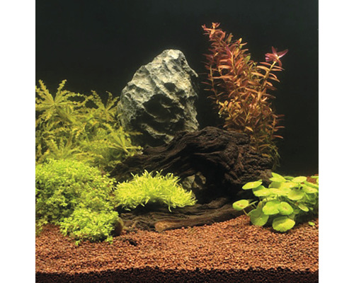 Acvariu cu plante, piatră și decorațiuni din lemn de rădăcină