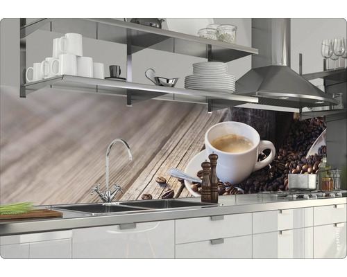 Scenă de bucătărie cu chiuvetă, plită, hotă de aragaz, rafturi și motiv de cafea