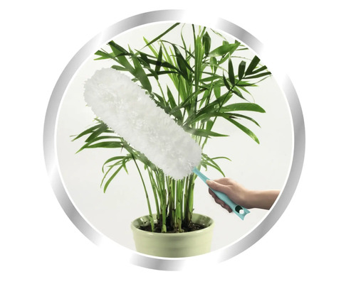 Un pămătuf curăță o plantă de apartament în ghiveci