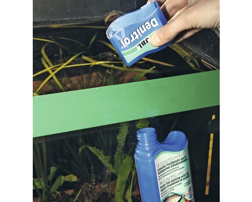 Aplicare JBL Denitrol Aquarium Starter pentru eliminarea biologică a poluanților din acvariu.