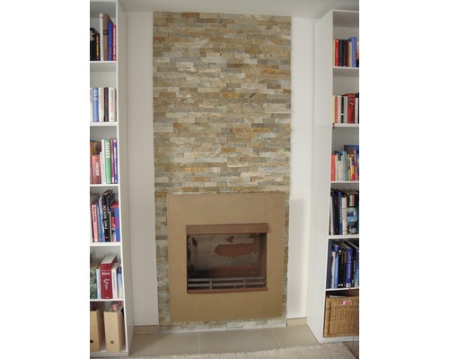 Cameră de zi cu șemineu și biblioteci