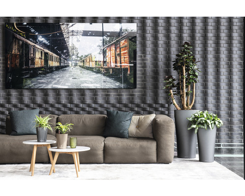 Cameră de zi cu canapea, măsuțe de cafea, plante în ghiveci și o imagine înrămată cu vagoane de tren