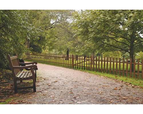 Scenă cu bancă de parc și gard de lemn de-a lungul unei căi
