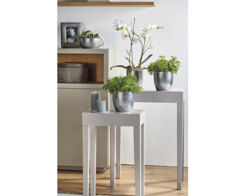 Design interior decorativ cu plante în ghivece și lumânări pe mese