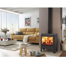 Cameră de zi cu sobă, canapea și măsuță de cafea