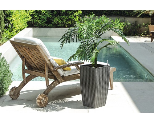 Scenă cu șezlong din lemn, piscină și plantă în ghiveci