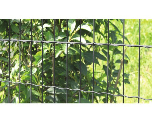 Gard din plasă sudată dublă în fața plantelor verzi