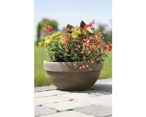 Flori într-un ghiveci în grădină