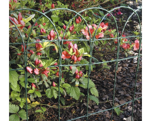 Gard decorativ verde de grădină din sârmă metalică în fața plantelor cu flori.
