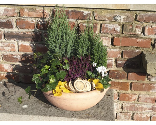 Jardinière decorativă cu conifere, iarbă neagră și frunze de toamnă în fața unui zid de cărămidă