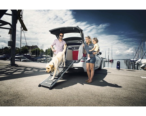 Familie lângă mașină cu rampă pentru câini și cușcă pentru câini în portbagaj într-un port