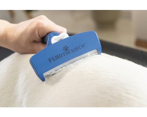 O mână folosește o perie FURminator pe un câine.