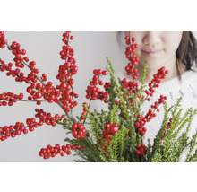 Ilex decorativ cu fructe de pădure roșii și frunze verzi ca decorațiune interioară