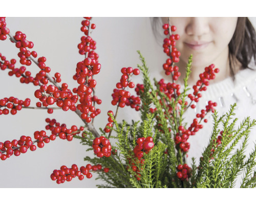 Ilex decorativ cu fructe de pădure roșii și frunze verzi ca decorațiune interioară