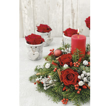 Coroană de Advent de Crăciun cu lumânări, trandafiri și ramuri de brad