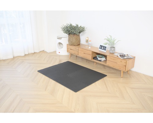 Cameră de zi cu covoraș dreptunghiular întunecat pe podea.