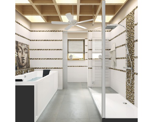 Baie luminoasă cu cadă, duș și ventilator de tavan