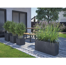 Scenă de grădină cu jardiniere plantate și pietre