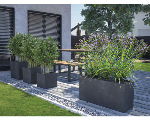 Scenă de grădină cu jardiniere plantate și pietre