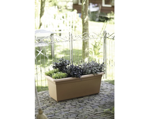 Jardinieră cu diverse ierburi în grădină