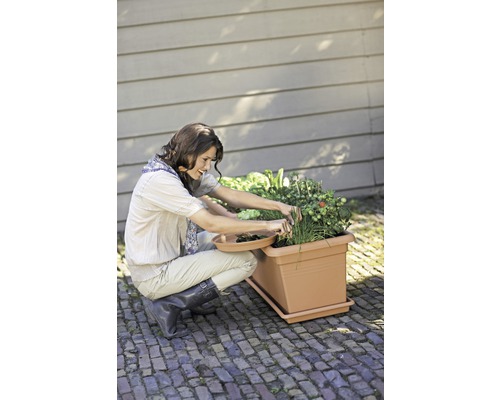 O femeie lucrează în grădină cu o jardinieră plină cu ierburi și legume.
