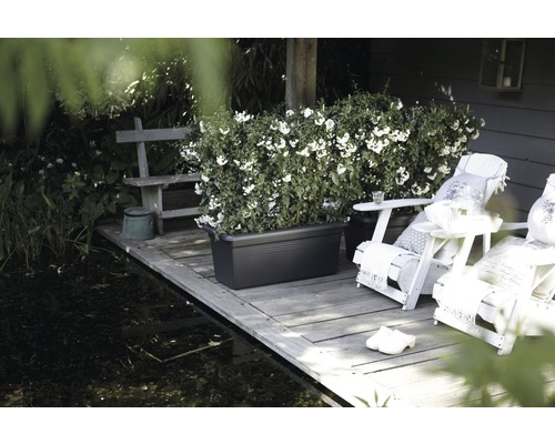 Scenă de grădină cu iaz, bancă, jardinieră plantată și șezlonguri