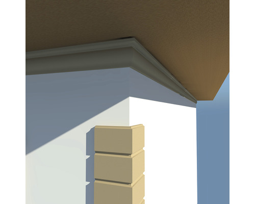 Tavan cu mulură decorativă și colț de perete cu placaj.