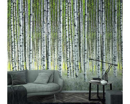 Cameră de zi cu fototapet cu motiv cu pădure de mesteceni