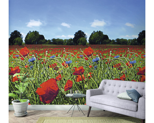 Tapet cu motiv de câmp de maci într-o cameră cu o canapea