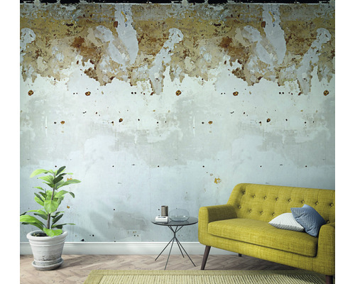 Cameră decorativă cu plantă, canapea și perete care necesită renovare