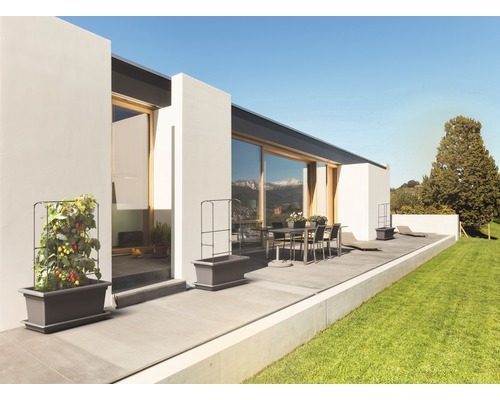 Terasa cu casă modernă, set de masă și jardiniere plantate cu spalier