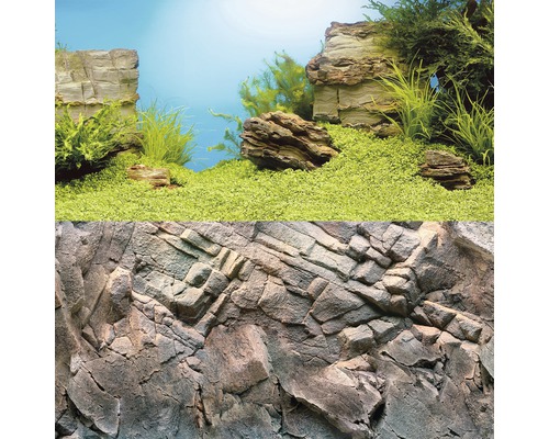 Fundal acvariu cu model de piatră şi plante verzi