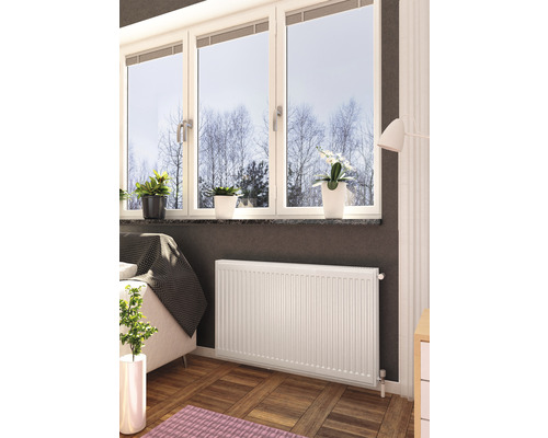 Scenă de cameră cu radiator, fereastră cu plante și decorațiuni.