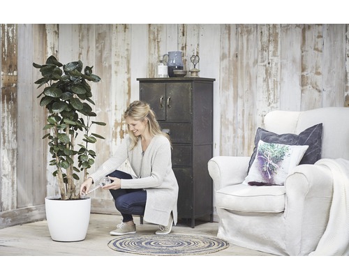 Femeie udând o plantă într-un ghiveci alb în sufragerie cu dulap și fotoliu