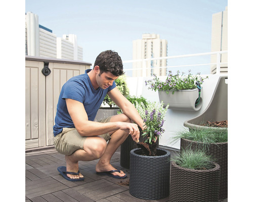 Un bărbat plantează un ghiveci împletit pe o terasă pe acoperiș cu o jardinieră, o cutie de depozitare și scânduri de terasă