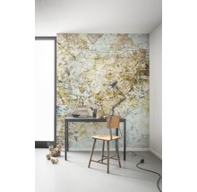 Fototapet vlies 6002A-VD2 Mix Map 200x250 cm