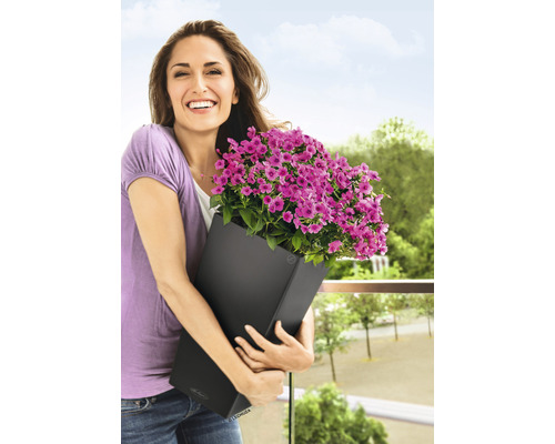 Femeie ținând jardinieră neagră cu flori mov pe balcon