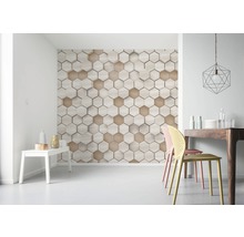 Fototapet vlies 6005B-VD4 Infinity Woodcomb Nude 400x250 cm