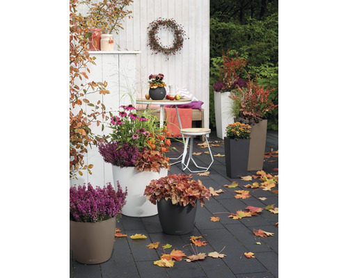 Scenă de grădină de toamnă cu jardiniere plantate, masă, scaun și frunze de toamnă.