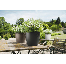 Trei jardiniere cu margarete pe o masă de grădină