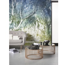 Fototapet vlies 6024A-VD2 Alley verde-albastru 200x250 cm