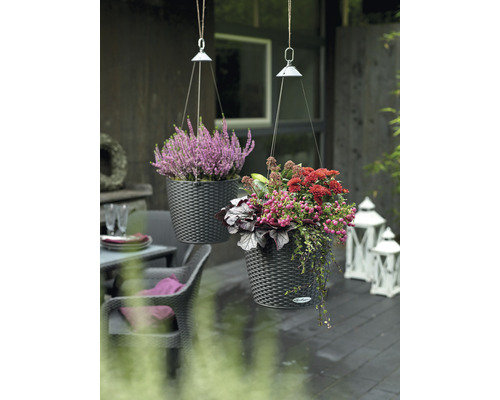 Două jardiniere suspendate plantate cu flori în aer liber.