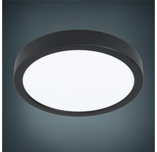 Panou cu LED integrat Fueva5 16,5W 2000 lumeni Ø21 cm, montaj aplicat, lumină neutră, negru-thumb-2
