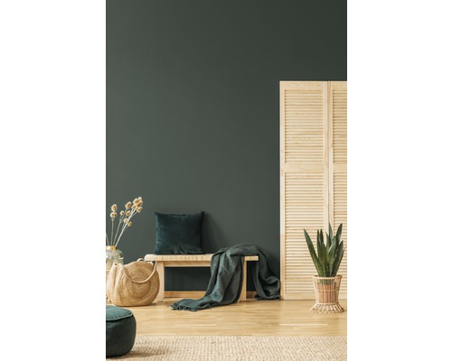 Spațiu de locuit cu bancă, pernă, cuvertură, plantă și separator de cameră