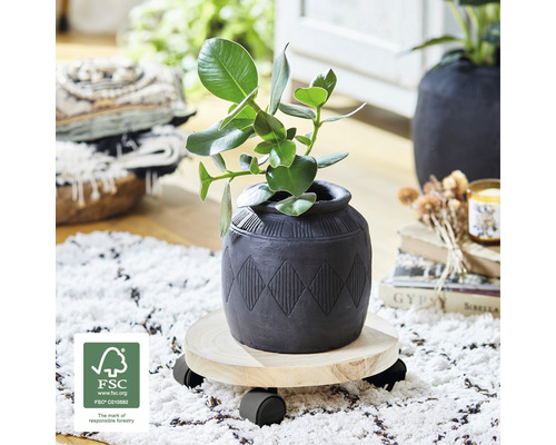 Plantă într-un ghiveci pe un suport cu rotile cu sigiliul FSC