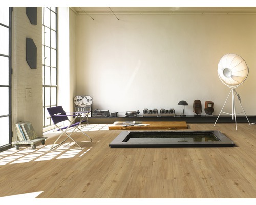 Cameră de zi luminoasă cu podea laminată, ferestre și mobilier de design