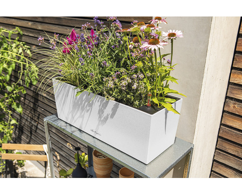 Jardinieră dreptunghiulară cu diverse flori pe o masă metalică